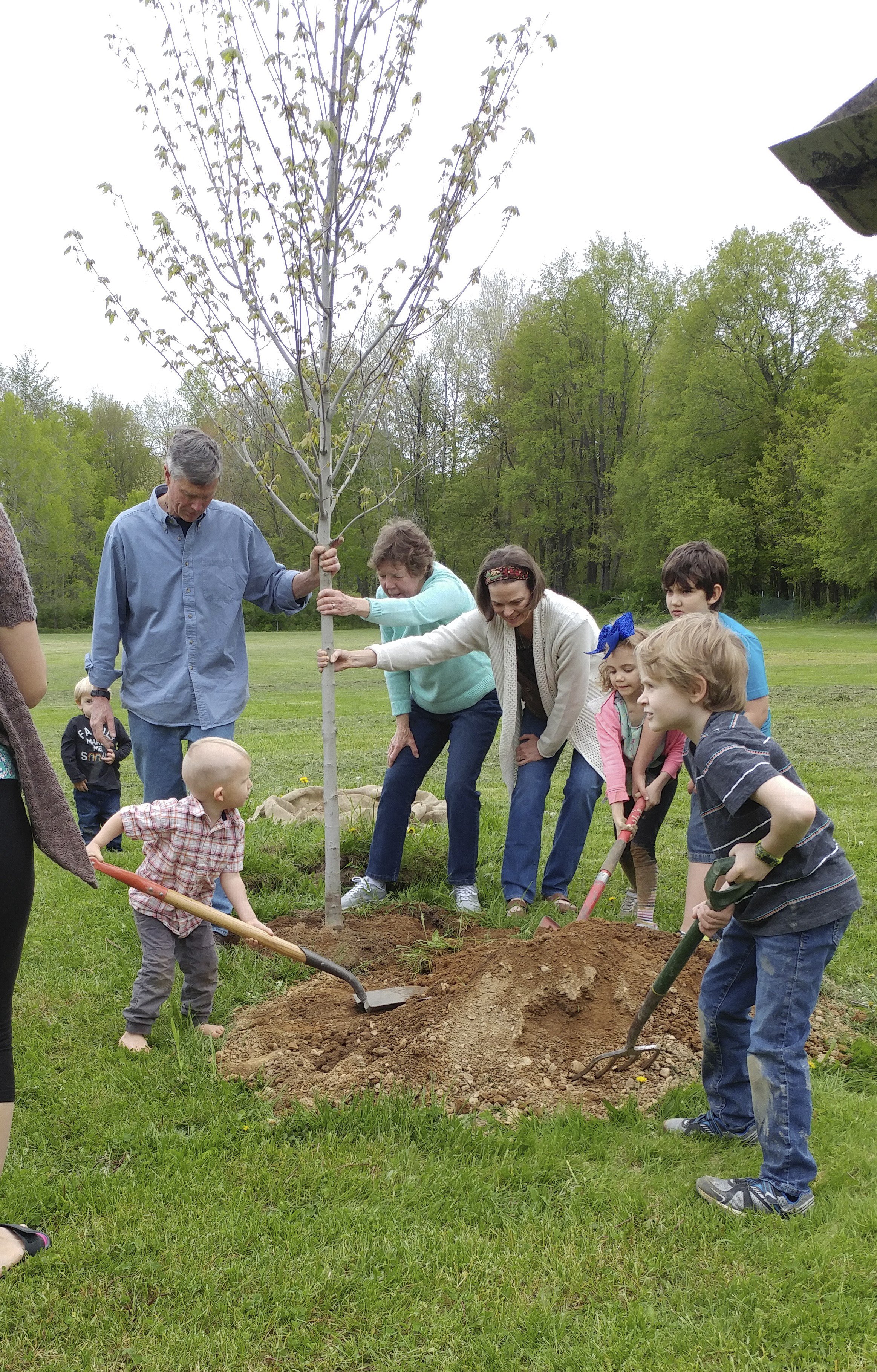 Cass-tree-planting – New York State Urban Forestry Council