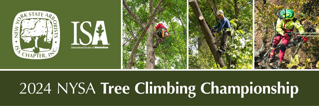 New York State Tree Climbing Championship on June 22, 2024! – New York ...