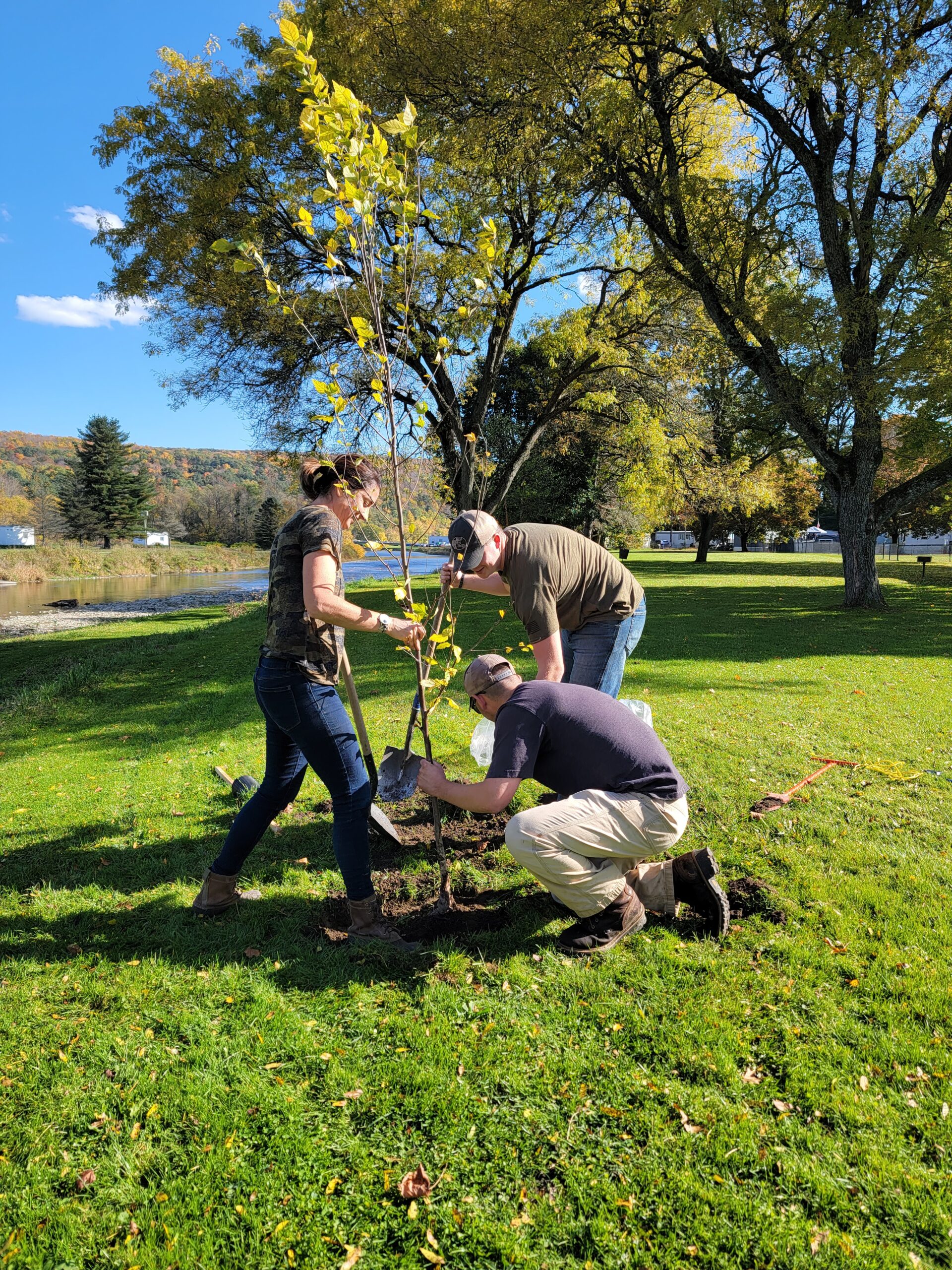 Results from a Formal Survey of Urban Forest Management in New York ...