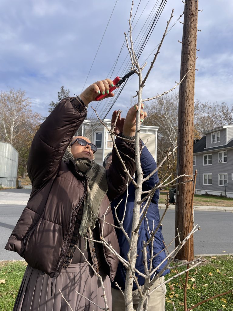 Tree Pruning 101 in Newburgh – New York State Urban Forestry Council